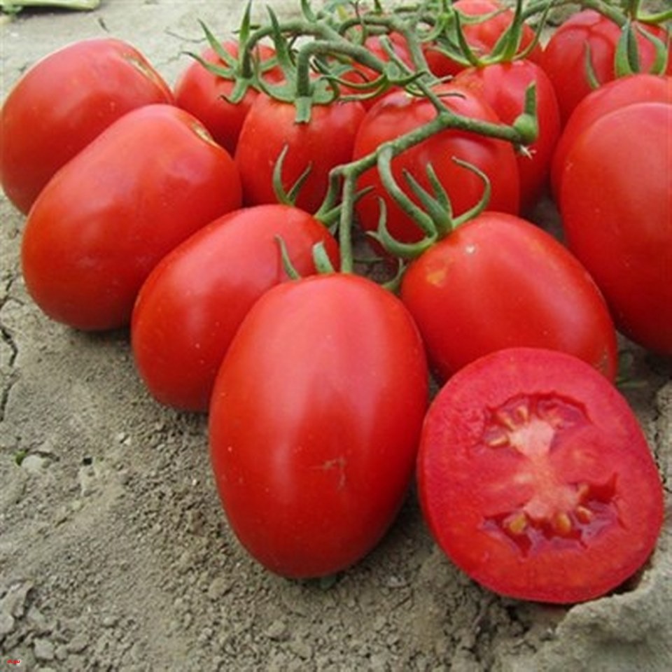 1 Kg Salça Kaç Kilo Domatesten Olur (3)_960x960