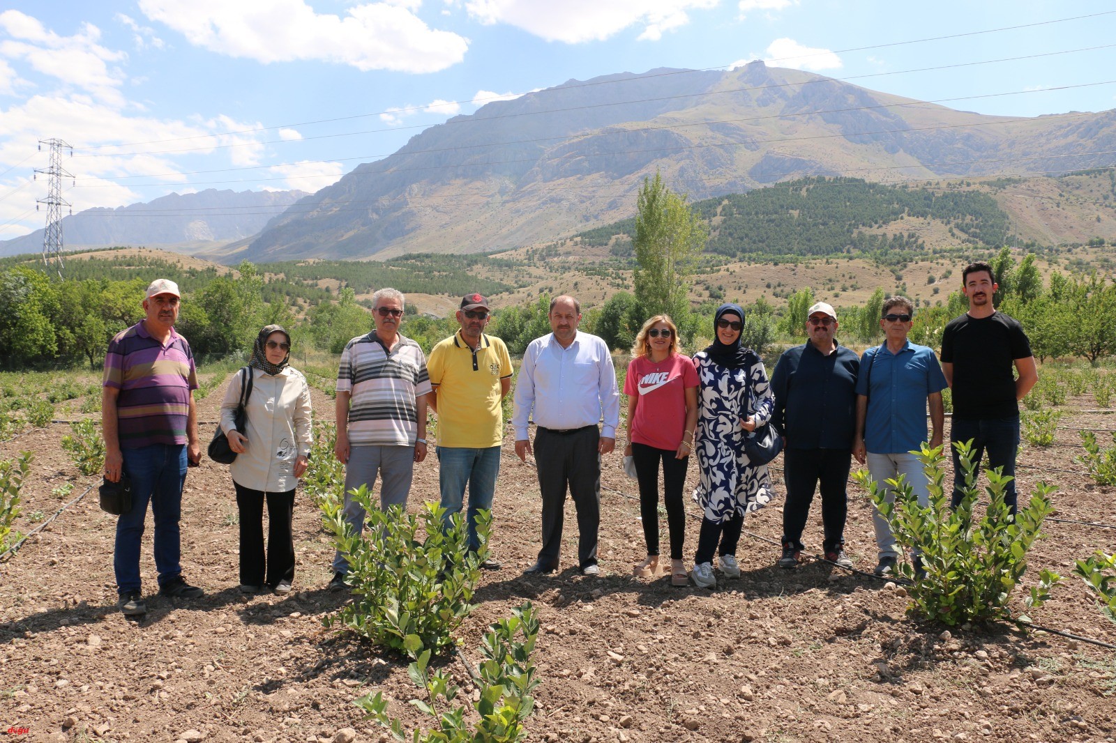 Aldığı hibe desteği ile Aronya yetiştiriyor (1)
