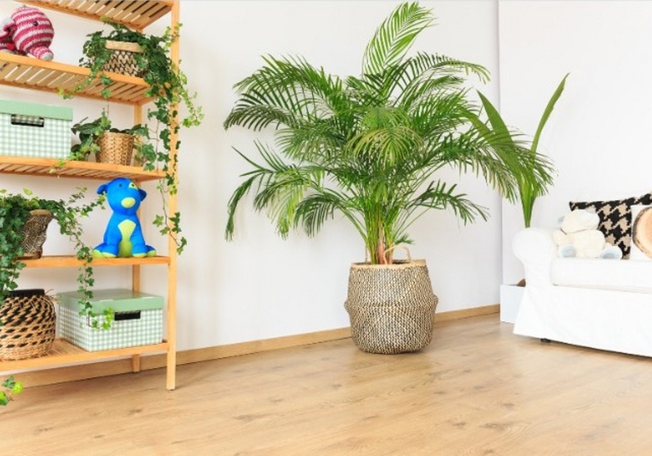 Aşk merdiveni_1280x895