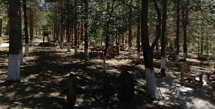 Atatürk Orman Çiftliği