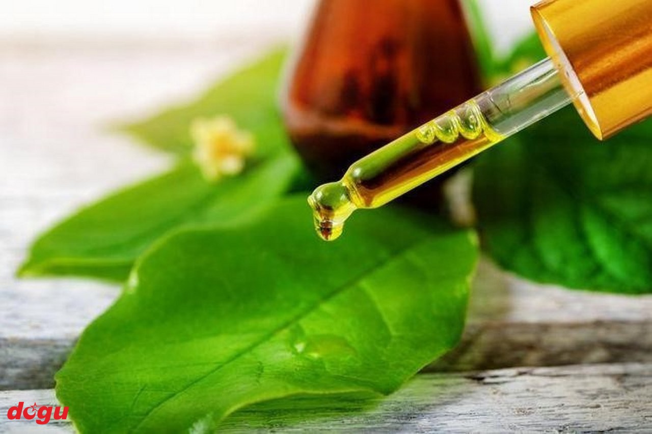 ayak mantarı_1280x853