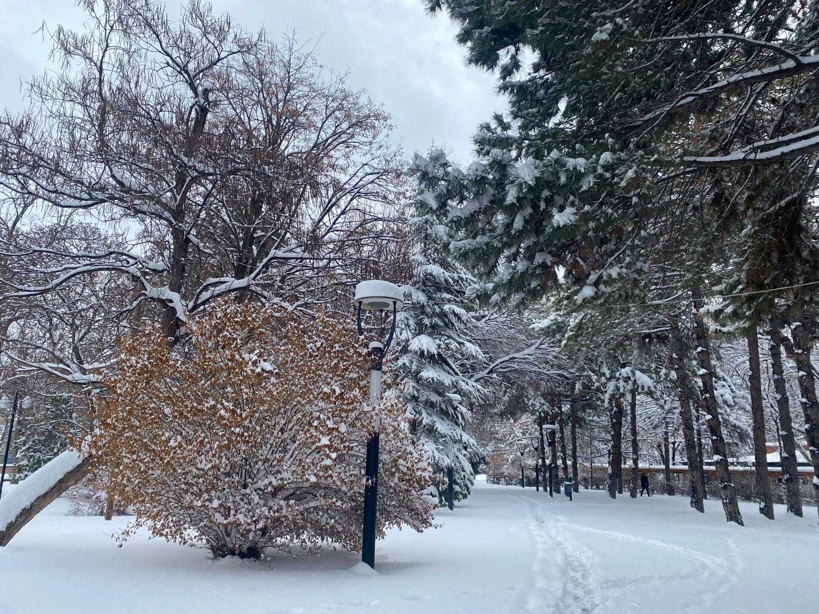 Beyazın Renlerle Buluşması