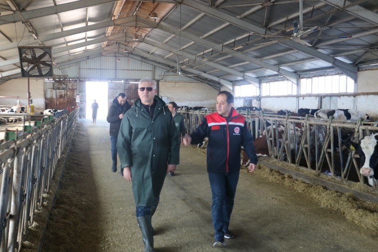 Büyükbaş Hayvancılıkta Arilik Belgesi 758X505