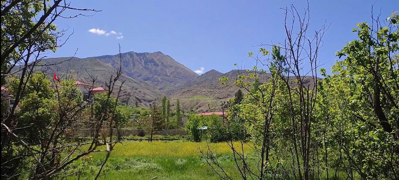 Diken kelebeklerinin göçü görüntülendi (2)_1280x580
