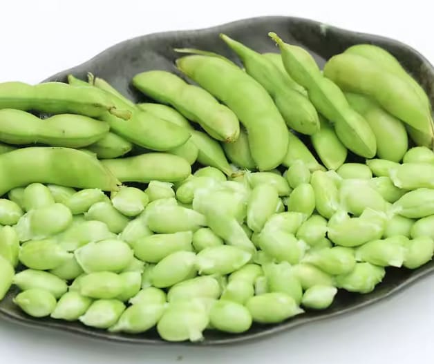Endamame Fasulyesi