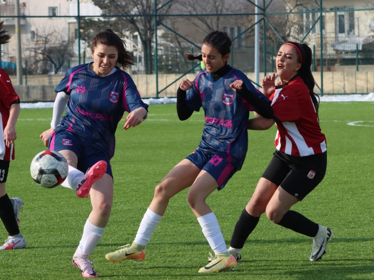 Erzincan Gençler Birliği 2 1280X960