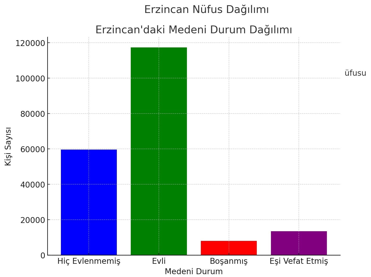 Erzincan Medeni Durum