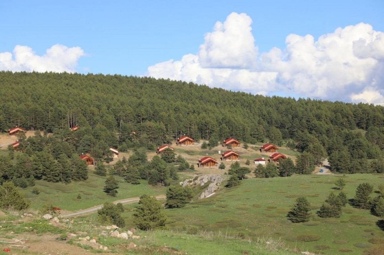 Erzincan’ın gözde mekanı Dumanlı Tabiat Parkı_1280x853