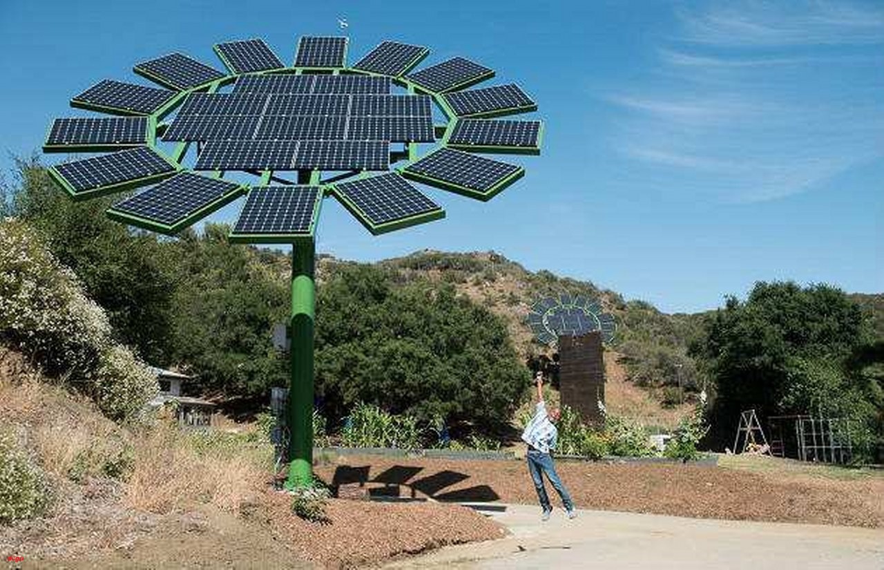 İnsanlara umut aşılayan ayçiçeği ve mitolojik hikayesi (2)_1280x825