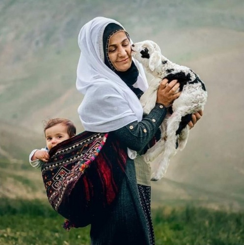 MEHMET ASLAN KUZULAR_958x960
