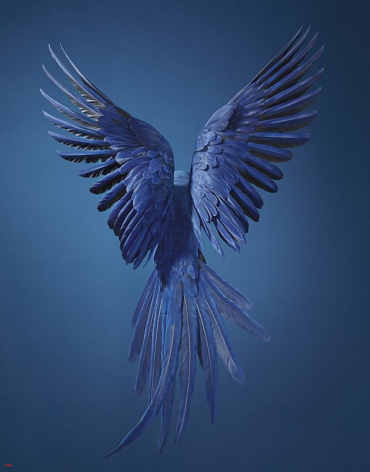 Sümbül Makav_753x960