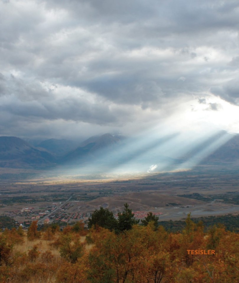 ÜZÜMLÜ (5)_810x960