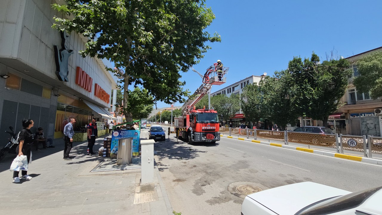 Yavrusunu korumaya çalışan karga vatandaşlara saldırdı (2)_1280x721