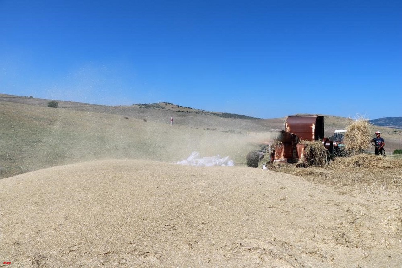 Yılın en sıcak günlerinde onlar kışın zorluğu için çalışıyor (1)_1280x853